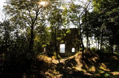 http://www.prolocoteolo.it/public/ruderi-castello-speronella_2.jpg